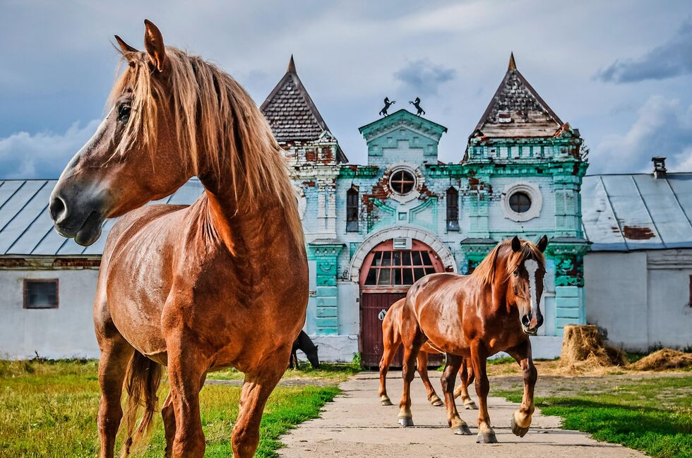 Для страницы Реклама и Спецпроекты. Анонс Фотопроекты Для страницы Реклама и Спецпроекты. Анонс Фотопроекты - «Россия сегодня», 980